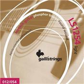 CORDES ACOUSTIQUE GALLISTRINGS LS-1254 12-54