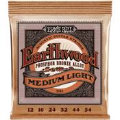 CORDES ACOUSTIQUE ERNIE BALL 2146 EARTHWOOD 12-54