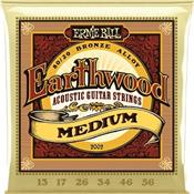 CORDES ACOUSTIQUE ERNIE BALL 2002 EARTHWOOD 13-56