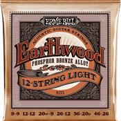 CORDES ACOUSTIQUE ERNIE BALL 2153 EARTHWOOD 12 CORDES