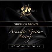 CORDES ACOUSTIQUE FRAMUS 47220 M PHOSPHOR BRONZE 12-53