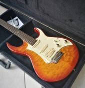 VGS DENANDER RADIOACTIVE SPECIAL V SUNBURST