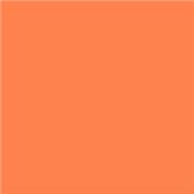 PEINTURE OPAQUE NITRO SURF ORANGE DARTFORDS Spray 400ml