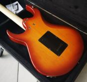 VGS DENANDER RADIOACTIVE SPECIAL V SUNBURST