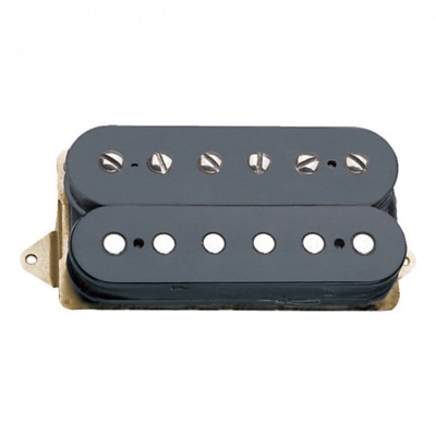 DIMARZIO AT-1 ANDY TIMMONS DP224 NOIR  (F-SPACED)