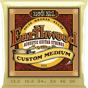 CORDES ACOUSTIQUE ERNIE BALL 2005 EARTHWOOD 12.5-56